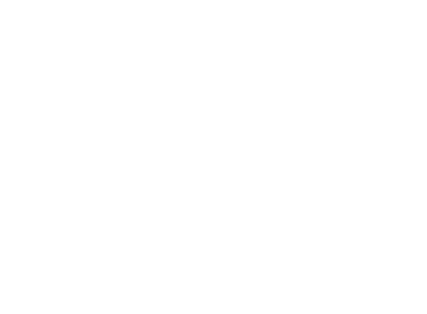 Balance and Mitre 10 homepage vector
